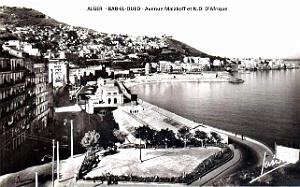 Alger-Bab-el-Oued - Boulevard Malakoff et N.D. d'Afrique
